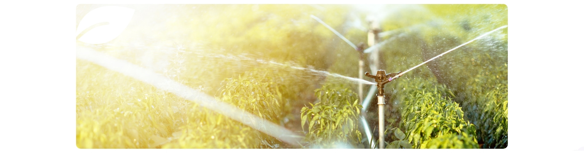 Irrigation et pulvérisation